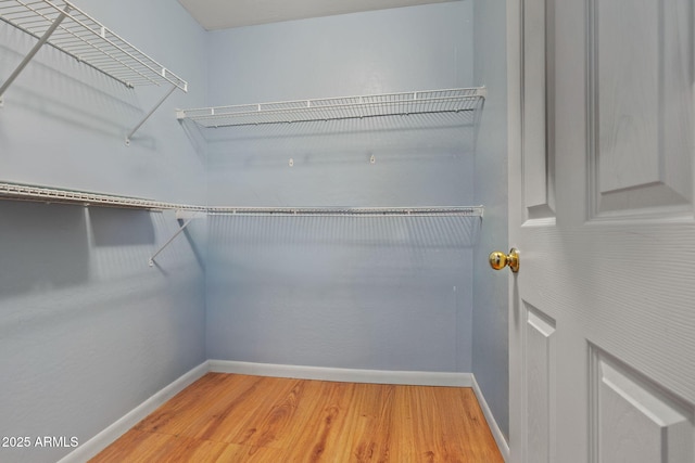 walk in closet with light wood-type flooring