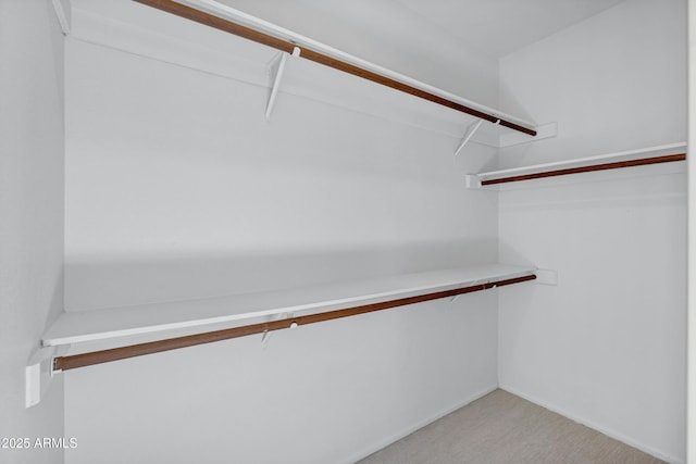 spacious closet featuring light colored carpet