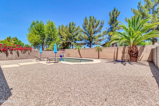 742 E Kingbird Dr, Gilbert, AZ 85297 - fenced backyard featuring a patio area