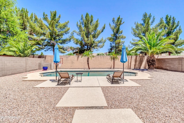 742 E Kingbird Dr, Gilbert, AZ 85297 - view of swimming pool with a fenced backyard and a patio area