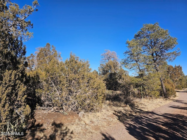 TBD Buckskin Rd Unit A, Overgaard AZ, 85933 land for sale