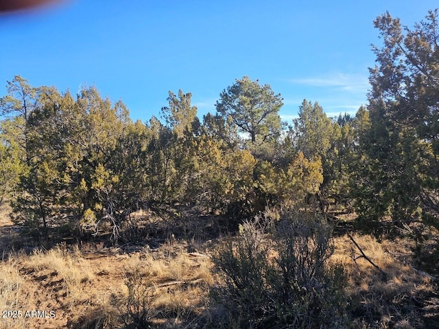 Listing photo 2 for TBD Buckskin Rd Unit A, Overgaard AZ 85933