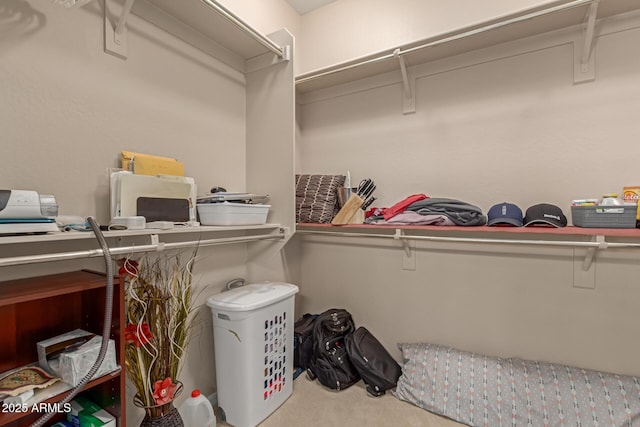 walk in closet featuring carpet floors