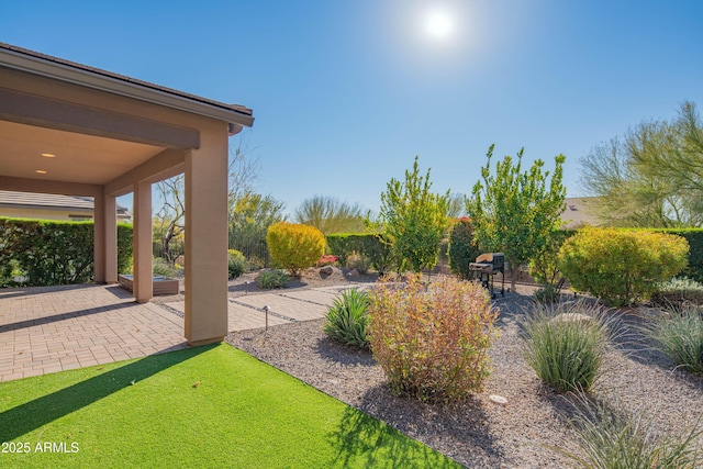 view of yard featuring a patio area