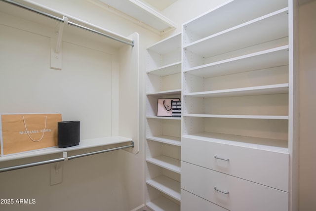 view of spacious closet