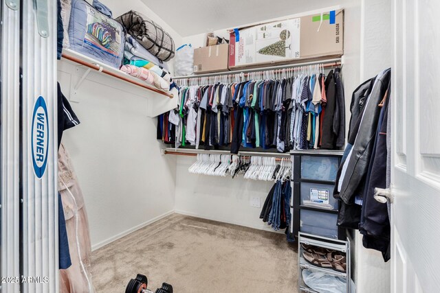 1876 E Azalea Ct, Gilbert, AZ 85298 - spacious closet with carpet