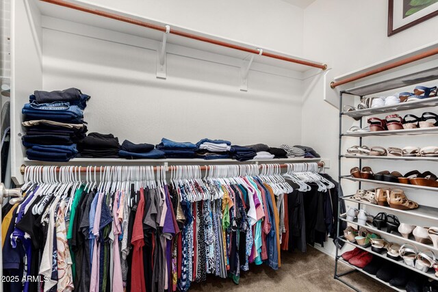 1876 E Azalea Ct, Gilbert, AZ 85298 - walk in closet with carpet