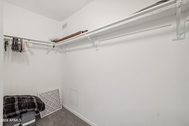 spacious closet with carpet