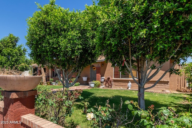 2207 N 53rd Ave, Phoenix, AZ 85035 - view of front facade with a front lawn and stucco siding