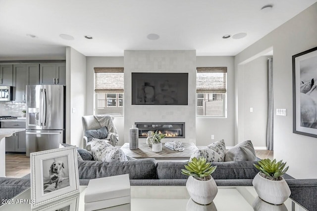 living room with wood-type flooring, a large fireplace, and a wealth of natural light