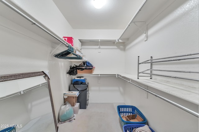 view of spacious closet