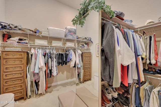 spacious closet featuring carpet floors