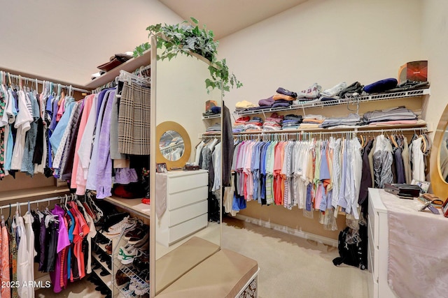 spacious closet featuring carpet