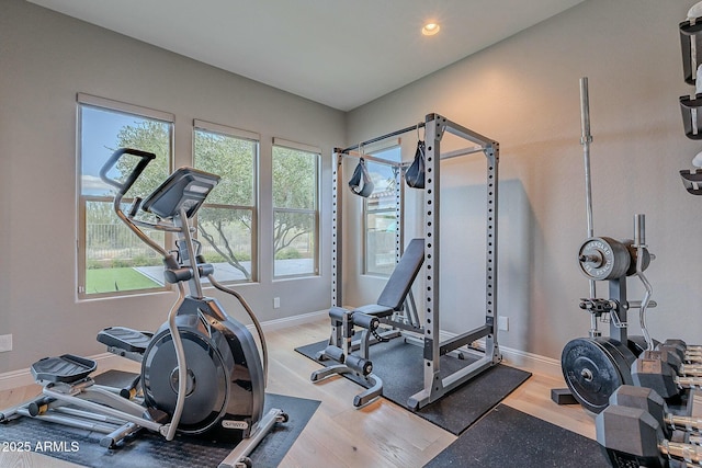 exercise room featuring a wealth of natural light and hardwood / wood-style flooring