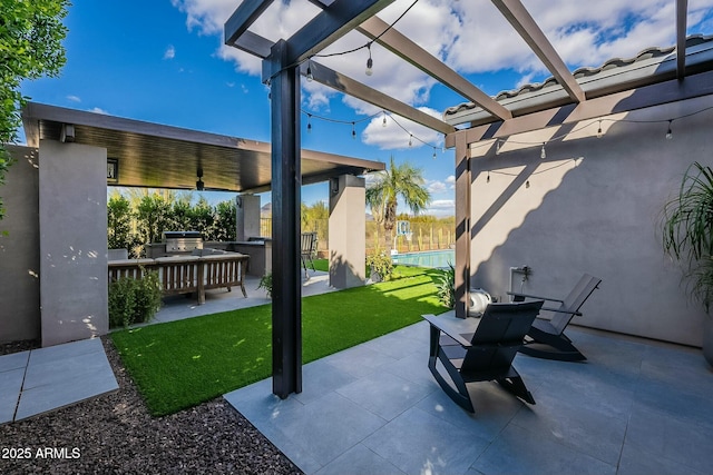 view of patio / terrace with exterior kitchen