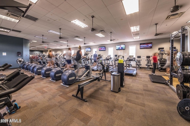 exercise room with carpet, visible vents, and a drop ceiling