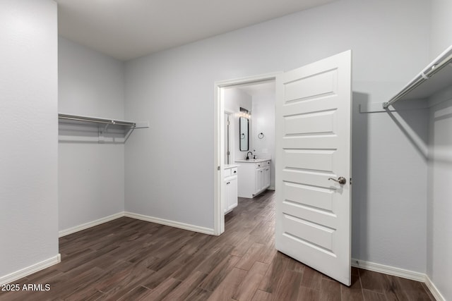 walk in closet featuring dark wood-type flooring and a sink