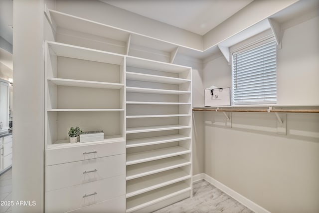 spacious closet with light wood-type flooring