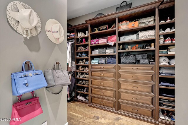 18927 N 101st St, Scottsdale, AZ 85255 - walk in closet with light wood-type flooring