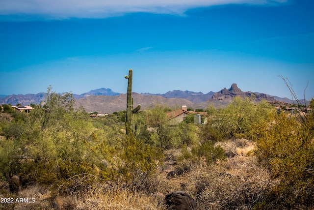 Listing photo 2 for 11856 N Sunset Vista Dr Unit 39, Fountain Hills AZ 85268