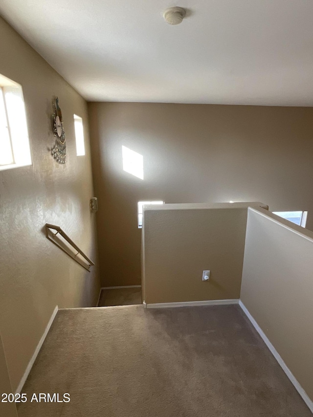 stairway featuring carpet flooring