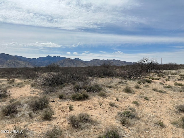 0 S Buckeye Apache B Rd Unit 9, Bowie AZ, 85605 land for sale