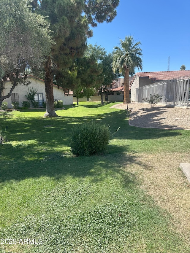 1718 S Longmore St Unit 53, Mesa, AZ 85202 - view of green lawn