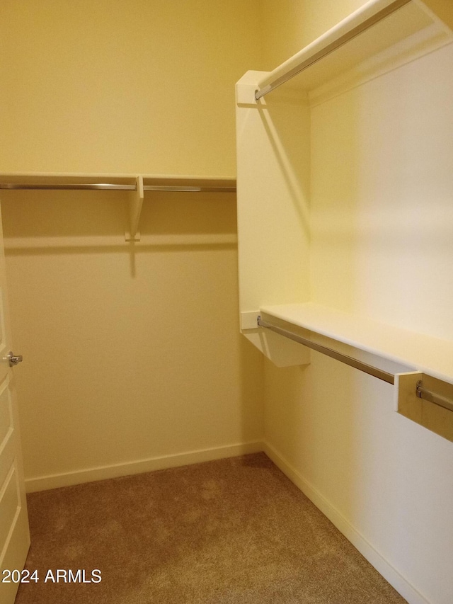 walk in closet featuring carpet floors