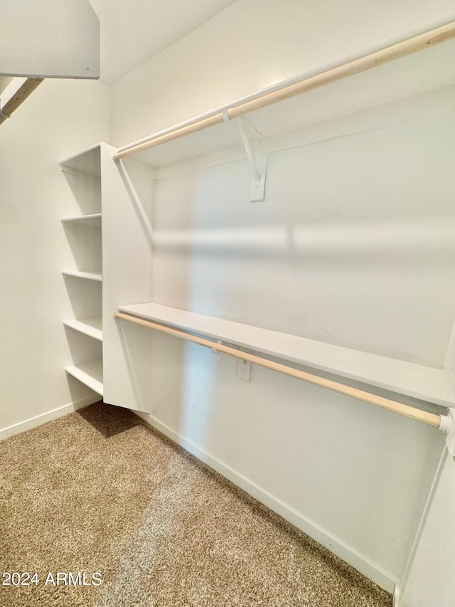 spacious closet featuring carpet flooring