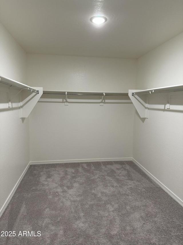 5701 E Iris Dr, Florence, AZ 85132 - walk in closet with carpet