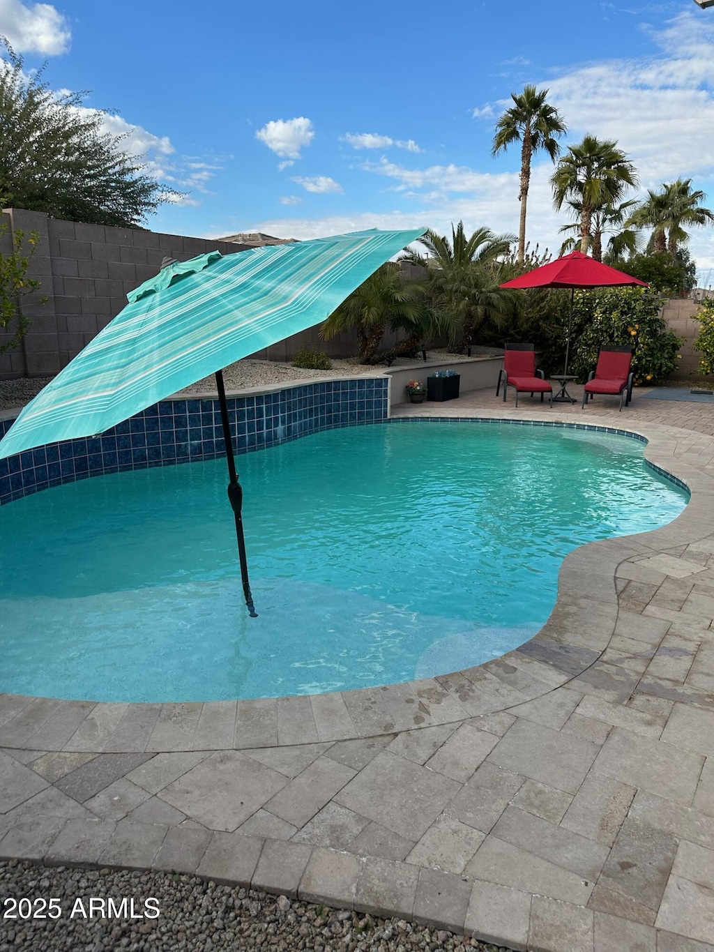 view of pool featuring a patio area