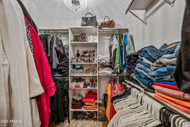 view of spacious closet