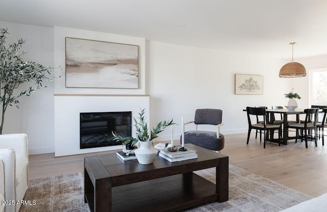 living room featuring hardwood / wood-style flooring