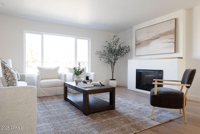 living room with wood-type flooring