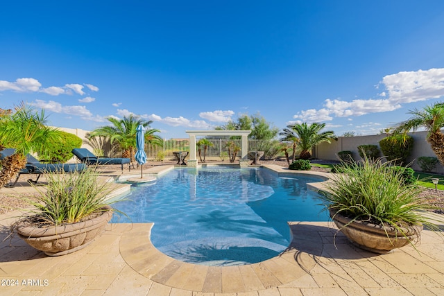 view of pool with a patio area