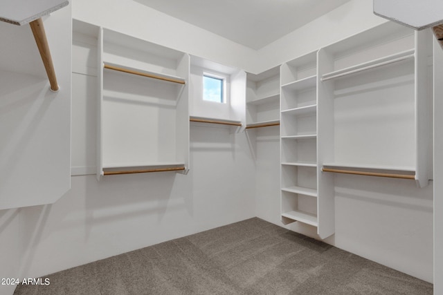 spacious closet with carpet