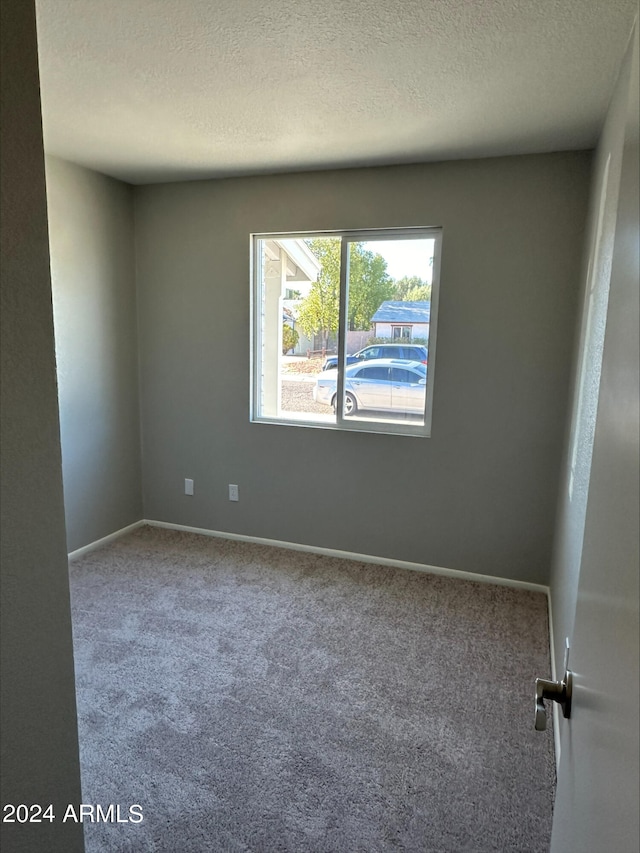 unfurnished room featuring carpet and a textured ceiling