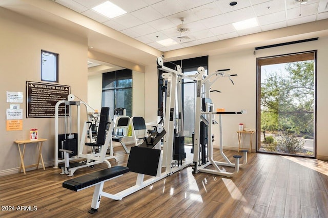 gym with hardwood / wood-style floors, a drop ceiling, and ceiling fan