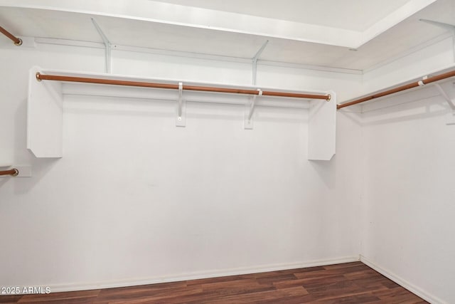 walk in closet featuring dark wood finished floors