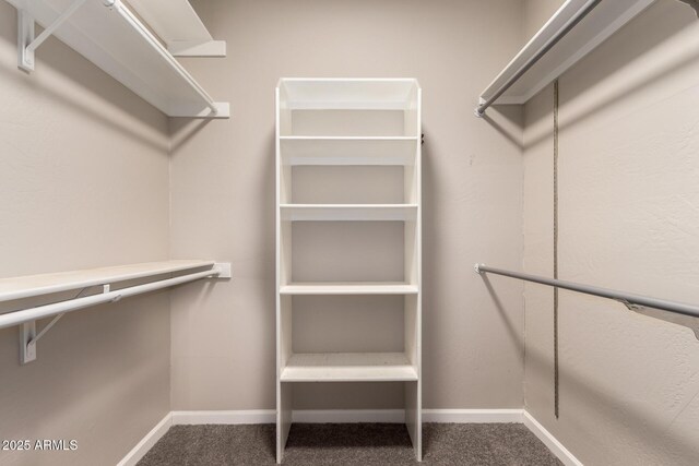 14602 N 63rd Pl, Scottsdale, AZ 85254 - spacious closet featuring carpet flooring