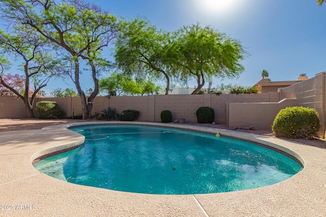 14602 N 63rd Pl, Scottsdale, AZ 85254 - view of pool featuring a fenced backyard and a patio