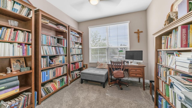 37820 W San Sisto Ave, Maricopa, AZ 85138 - office space with ceiling fan, carpet, and bookshelves