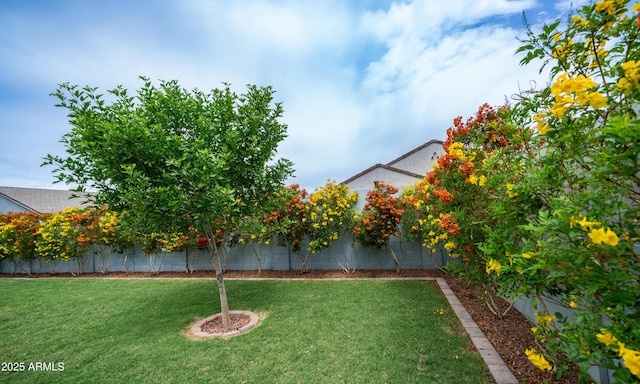 37820 W San Sisto Ave, Maricopa, AZ 85138 - view of yard featuring a fenced backyard