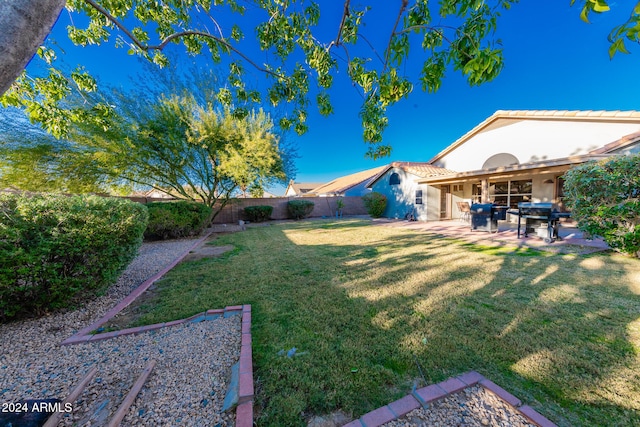 view of yard featuring a patio