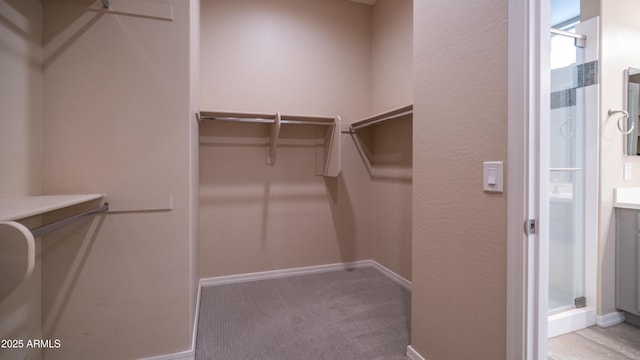 walk in closet with carpet floors