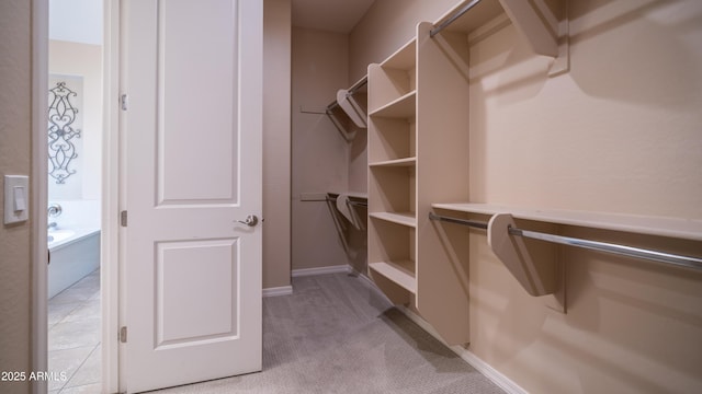 spacious closet with light carpet