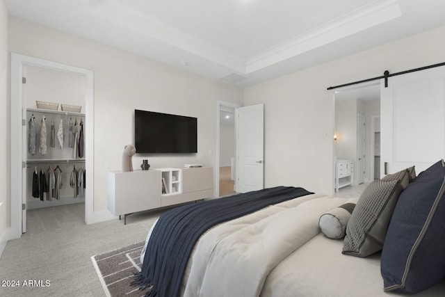 bedroom featuring carpet floors, a tray ceiling, a closet, a spacious closet, and a barn door