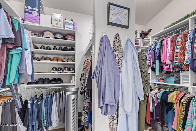 view of walk in closet