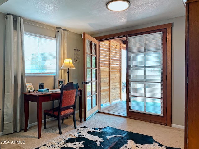 office space featuring baseboards, carpet floors, and a textured ceiling