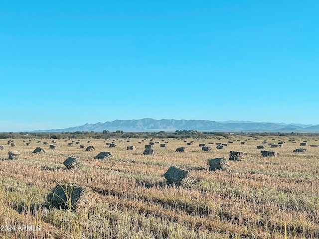 view of mountain feature